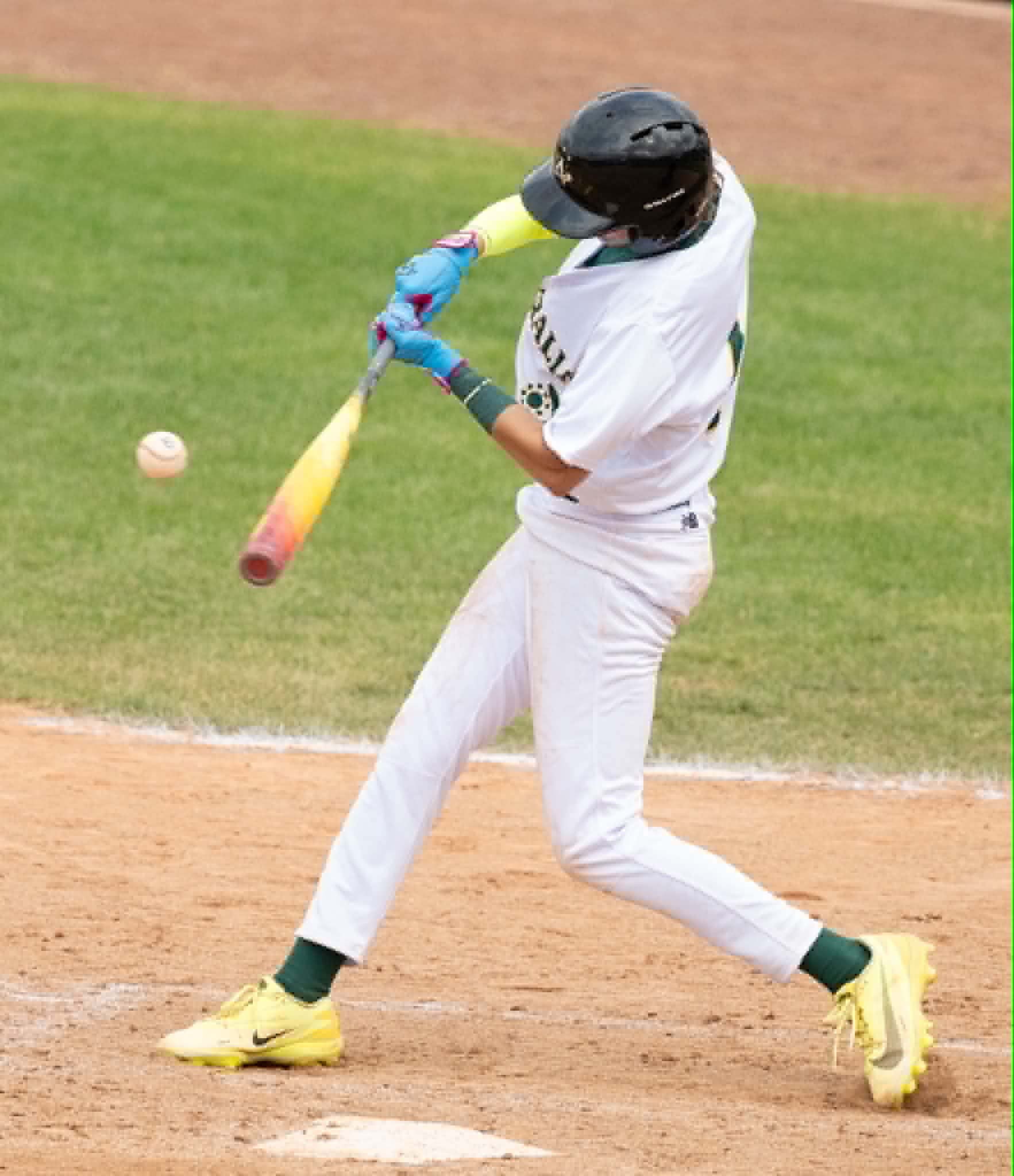 Lillian Sterry #39 Custom - LDF Premium Batting Gloves (Adult & Youth)