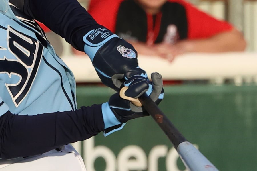 NEW - LDF Premium Batting Gloves (Adult & Youth)