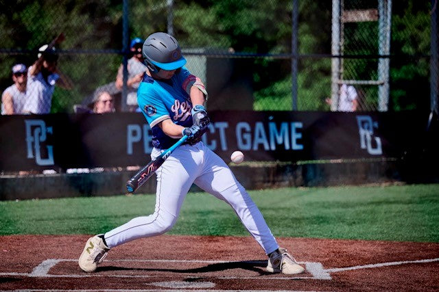 NEW - LDF Premium Batting Gloves (Adult & Youth)