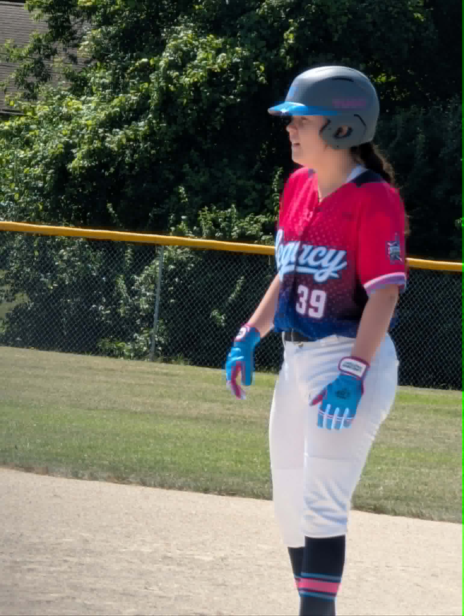 Lillian Sterry #39 Custom - LDF Premium Batting Gloves (Adult & Youth)