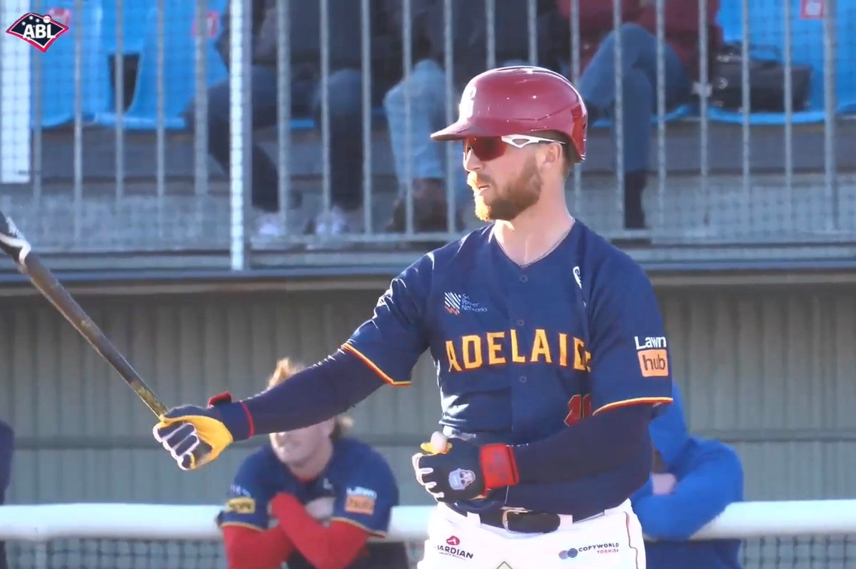 NEW - LDF Premium Batting Gloves (Adult & Youth)